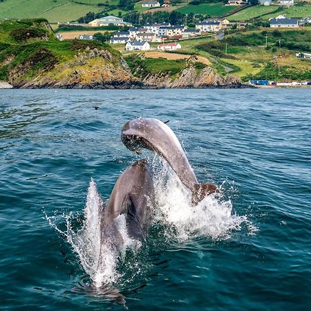 Willa Realt Na Mara Killybegs Zewnętrze zdjęcie