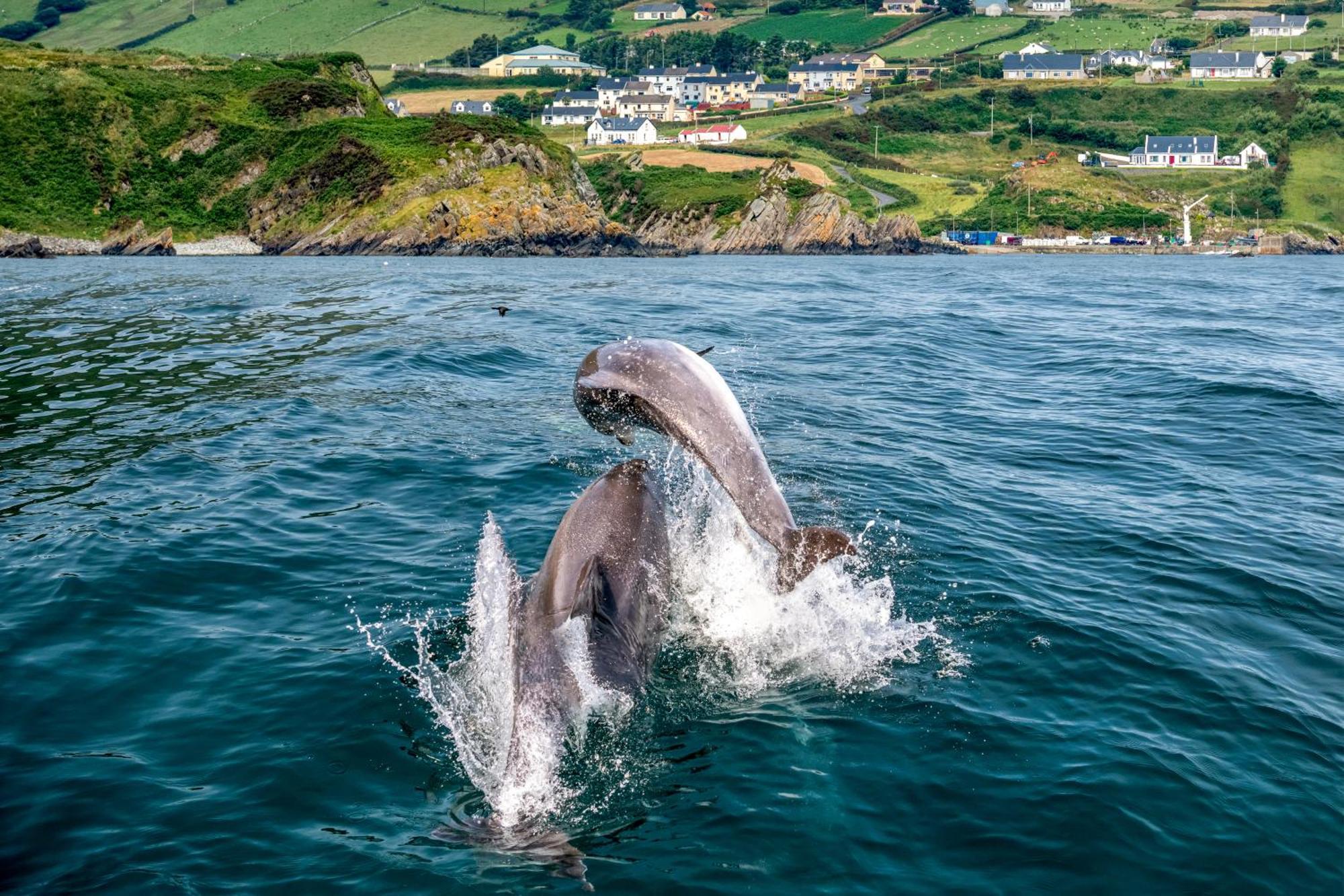 Willa Realt Na Mara Killybegs Zewnętrze zdjęcie